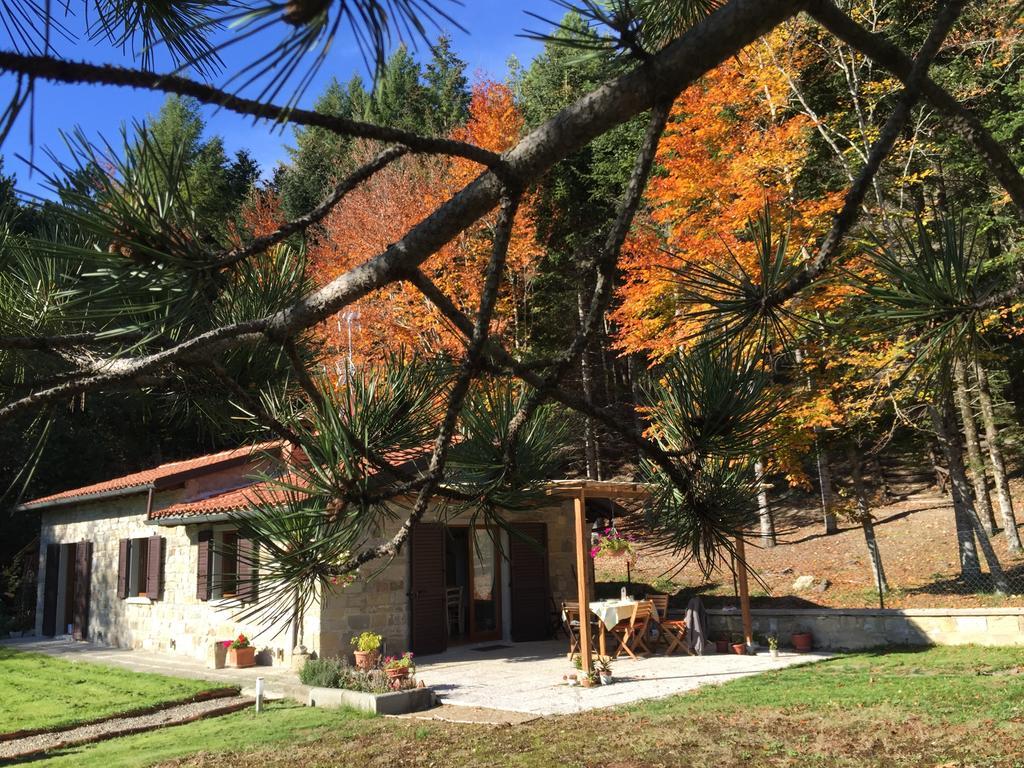 Casa Camporino Poppi Zimmer foto