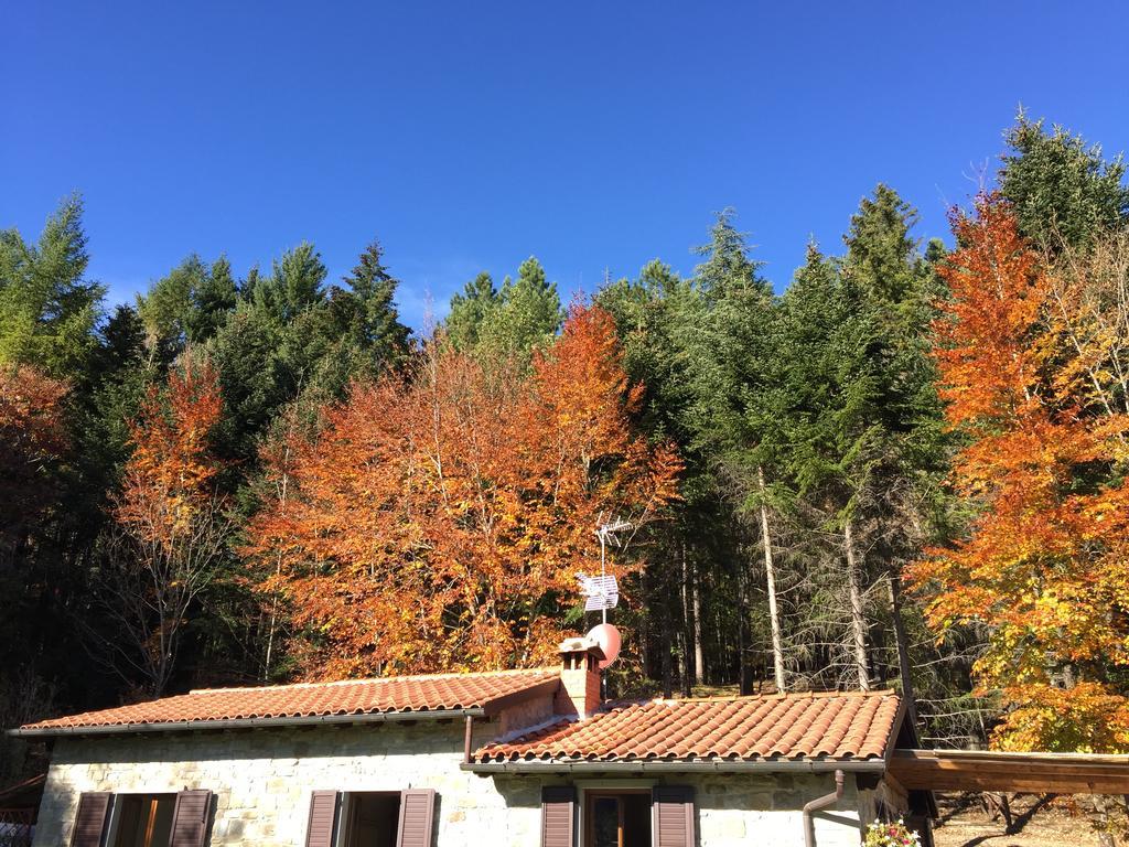 Casa Camporino Poppi Zimmer foto